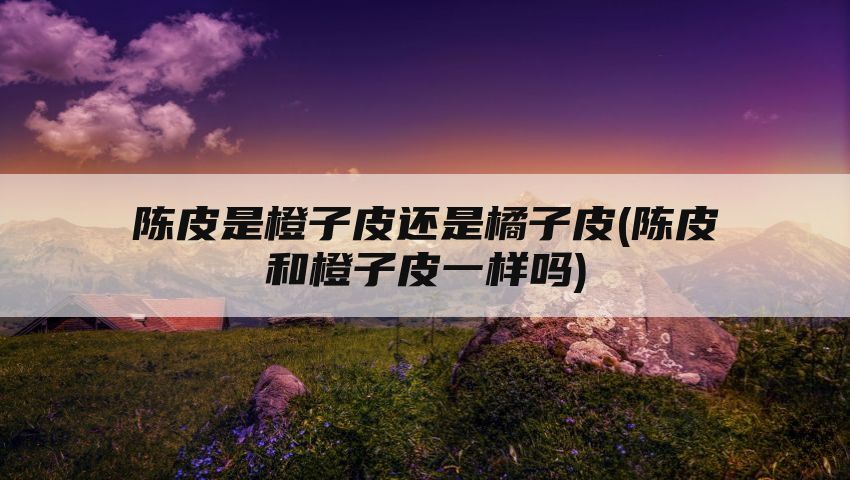 陈皮是橙子皮还是橘子皮(陈皮和橙子皮一样吗)