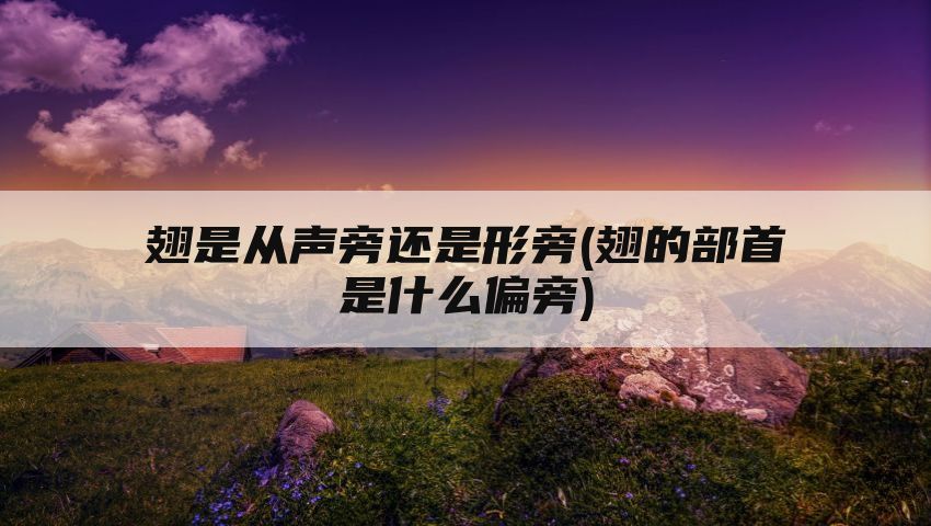 翅是从声旁还是形旁(翅的部首是什么偏旁)