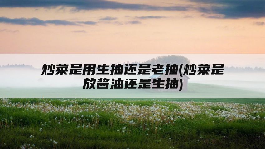 炒菜是用生抽还是老抽(炒菜是放酱油还是生抽)