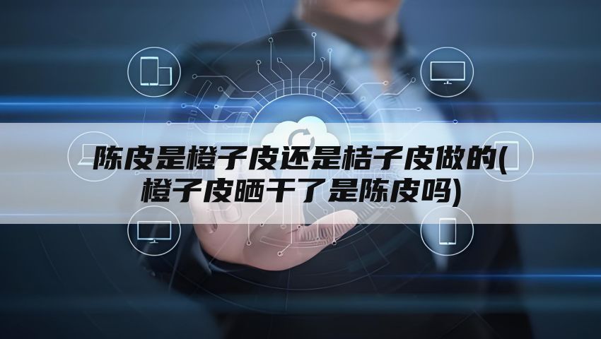 陈皮是橙子皮还是桔子皮做的(橙子皮晒干了是陈皮吗)