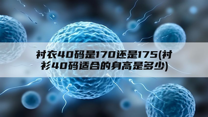 衬衣40码是170还是175(衬衫40码适合的身高是多少)