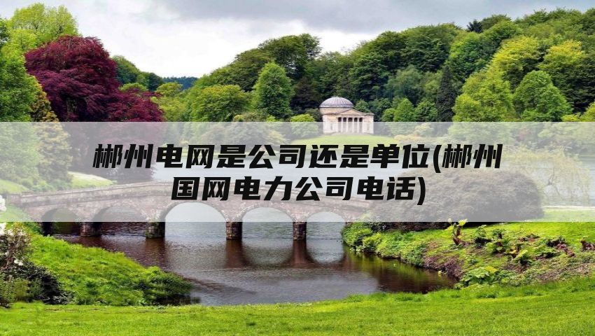 郴州电网是公司还是单位(郴州国网电力公司电话)