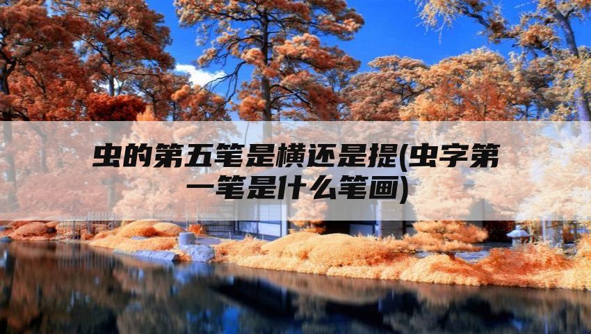 虫的第五笔是横还是提(虫字第一笔是什么笔画)