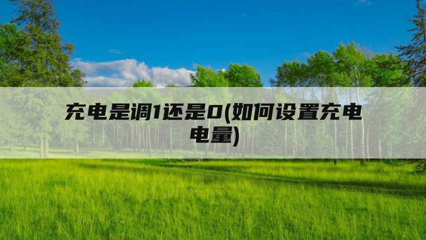 充电是调1还是0(如何设置充电电量)