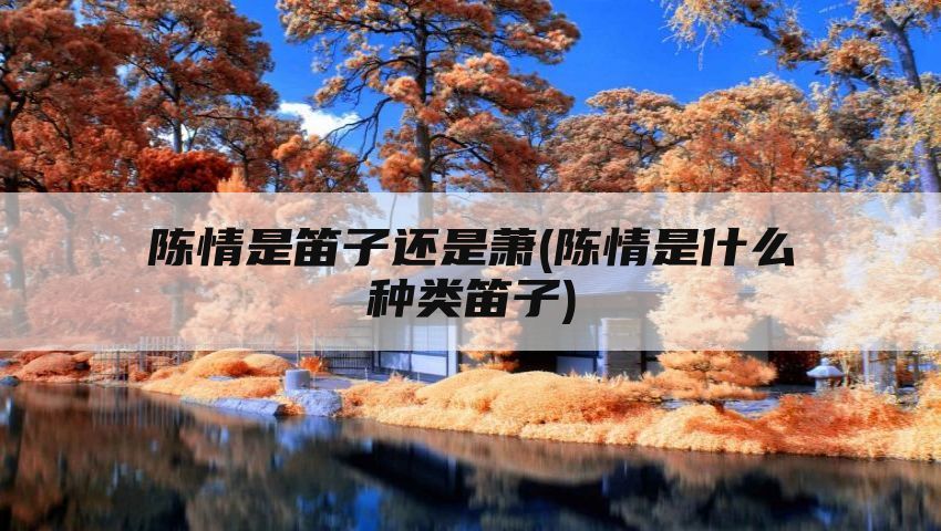 陈情是笛子还是萧(陈情是什么种类笛子)