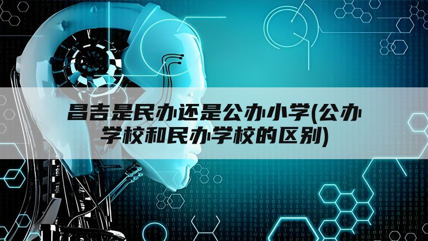 昌吉是民办还是公办小学(公办学校和民办学校的区别)