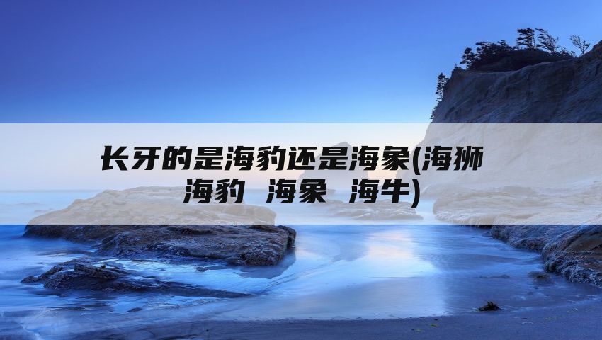 长牙的是海豹还是海象(海狮 海豹 海象 海牛)