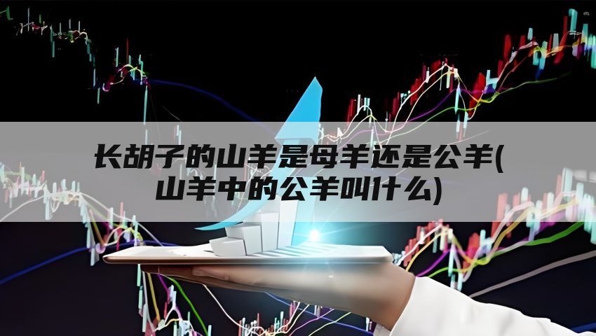 长胡子的山羊是母羊还是公羊(山羊中的公羊叫什么)